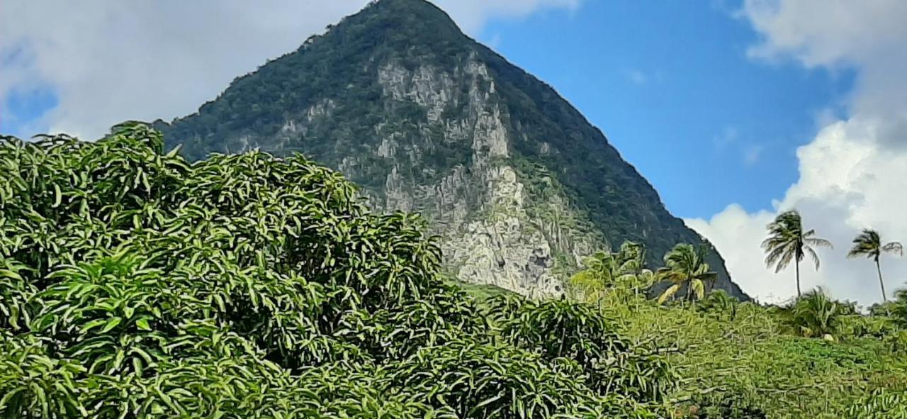 Kaye Mango Villa Soufrière Eksteriør bilde